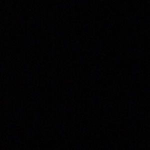 Meet your Posher, Mickey